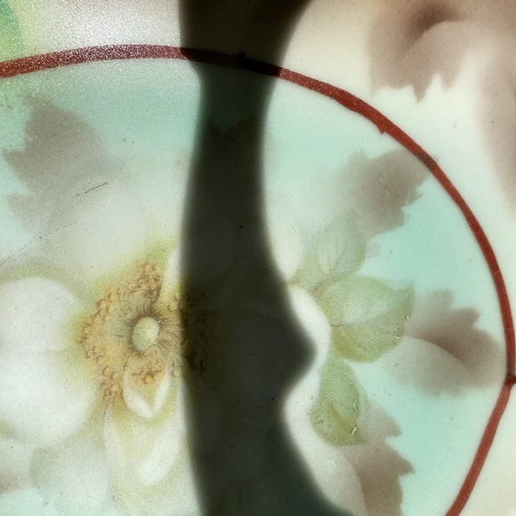 Prov Saxe E S Vintage hand painted serving dish. Beautiful depiction of birds. - Picture 9 of 10